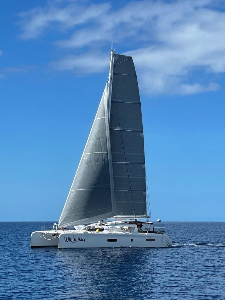 Used Sail Catamaran for Sale 2015 Outremer 5x 